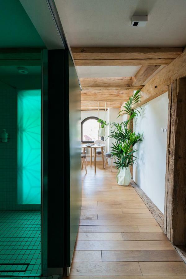 Apartamenty Monka Stary Toruń Dış mekan fotoğraf
