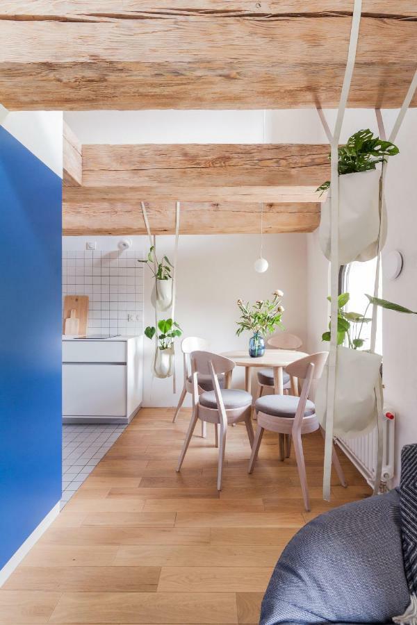Apartamenty Monka Stary Toruń Dış mekan fotoğraf